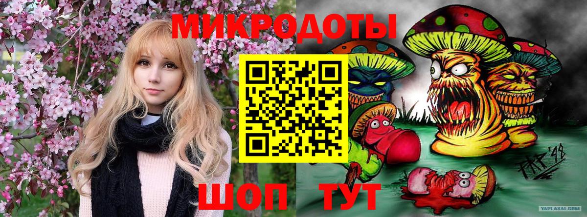 Галлюциногенные грибы Psilocybine cubensis Краснокамск